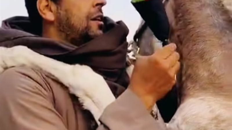 من الواقعة المتداولة