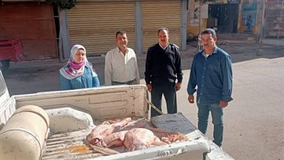 «بيطري المنوفية» تضبط ما يقرب من 2 طن لحوم ودواجن غير صالحة للاستهلاك الآدمي
