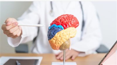 علامات السكتة الدماغية التي لا يجب تجاهلها وكيف تحمي نفسك قبل فوات الأوان