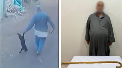 الأمن بالشرقية يقبض على عامل تعدى على قطة داخل منزله