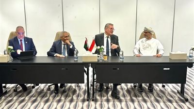 تعزيز التعاون المصري العماني في الهيدروجين الأخضر ومشروعات الغاز الطبيعي 