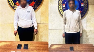 حبس شخصين بالقاهرة لإدارتهما تطبيقًا إلكترونيًا للأعمال المنافية للآداب