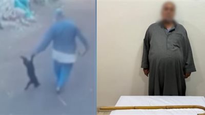 لعبثها بمحتويات منزله.. اعترافات مثيرة للمتهم بالتعدي على قطة بالشرقية