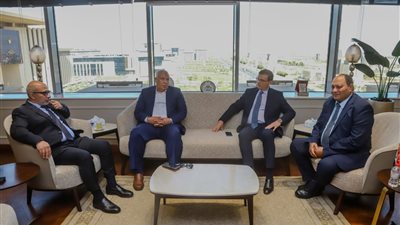 وزير الزراعة ومحافظ الوادي الجديد يبحثان سبل تعزيز الاستثمار في المحافظة
