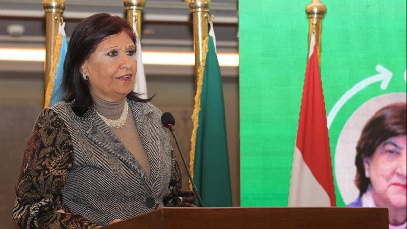 المجلس القومي للمرأة