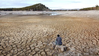 تغير المناخ يهدد حياة الكائنات البحرية.. وتحذيرات في اجتماع برشلونة|تفاصيل