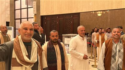 إقبال الجالية المصرية بالرياض لإعادة التصويت على دوائر المرحلة الأولى الملغاة