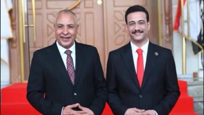 الوطنية للانتخابات تعلن فوز أحمد غريب بمقعد السويس وإعادة بين خشانة وفاروق