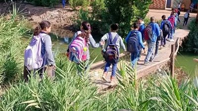 أهالٍي العوابد يناشدون محافظ الأقصر بالتدخل لإنقاذ أبناءهم من سقالة الترعة 