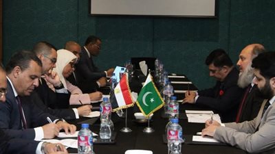 مصر وباكستان تتفقان على توسيع آفاق الشراكات الاستثمارية والتجارية