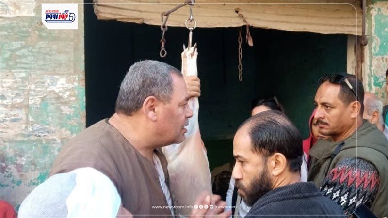 تموين المنيا 