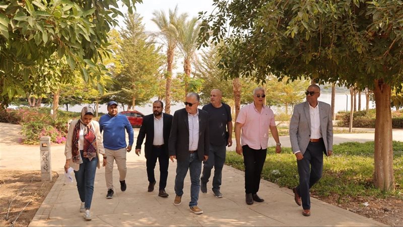 رئيس قطاع الفنون