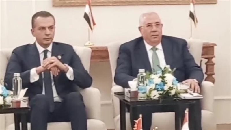 أحمد عبد الجواد والسيد