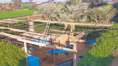 محافظ الشرقية: الحملات مستمرة يوميًا لإزالة المخالفات واسترداد حق الدولة