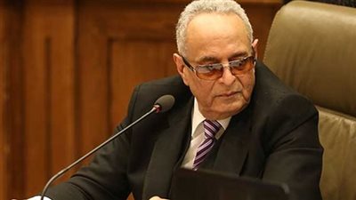 بهاء أبو شقة: محكمة النقض هي المختصة بالطعن بعد إعلان النتائج|فيديو 