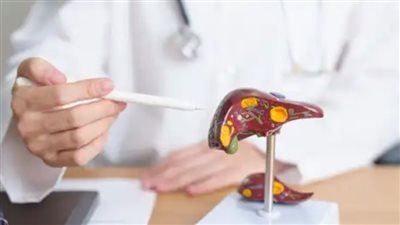 نزيف بلا توقف .. ما هي الهيموفيليا وكيف يمكن التعامل معها؟ 	