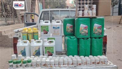 1618 محضراً تموينياً في نوفمبر بالفيوم.. ضبط مخالفات المخابز والأسواق