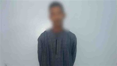 عاطل يجمع بطاقات المواطنين بمحيط اللجان الانتخابية بقنا لصالح أحد المرشحين 