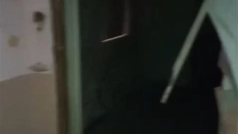 صورة من العقار