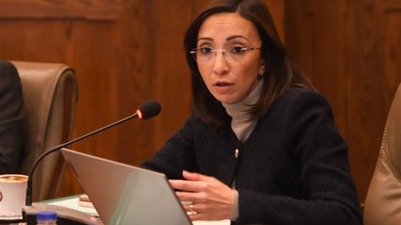 محافظ البحيرة