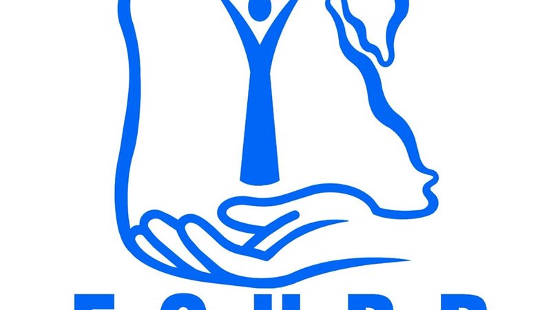 الإئتلاف المصري