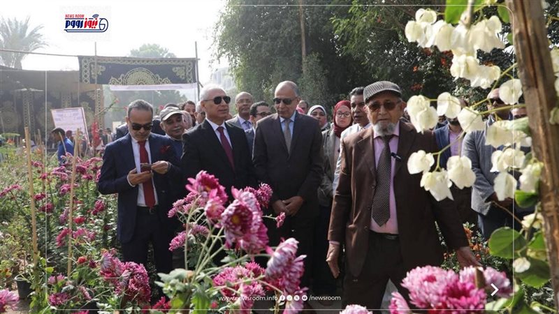 جامعة المنيا