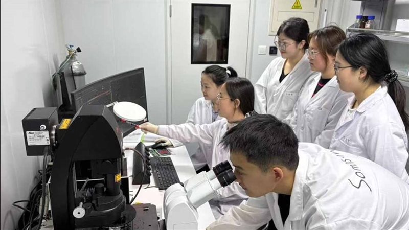 صورة موضوعية