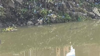 استغاثة اهالي السوالم بكفر سعد للمطالبة بكوبري يربط جانبي القرية 