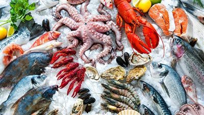 أسعار الأسماك اليوم الخميس 4 ديسمبر 2025 منتصف اليوم