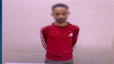 محاولة تلاعب بالتصويت.. الأمن يضبط متهمًا يحمل بطاقات مواطنين بقنا