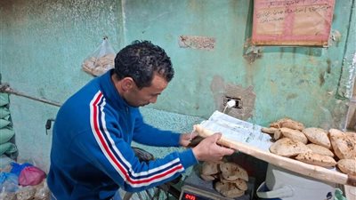 الغربية تواصل ضرباتها الرقابية.. ضبط 15 مخالفة تموينية وصحية في حملة موسعة