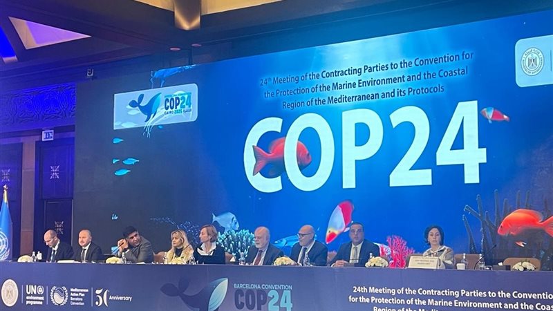 جانب من مؤتمر COP24