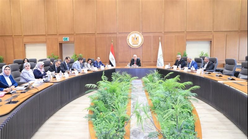 التعليم العالي 