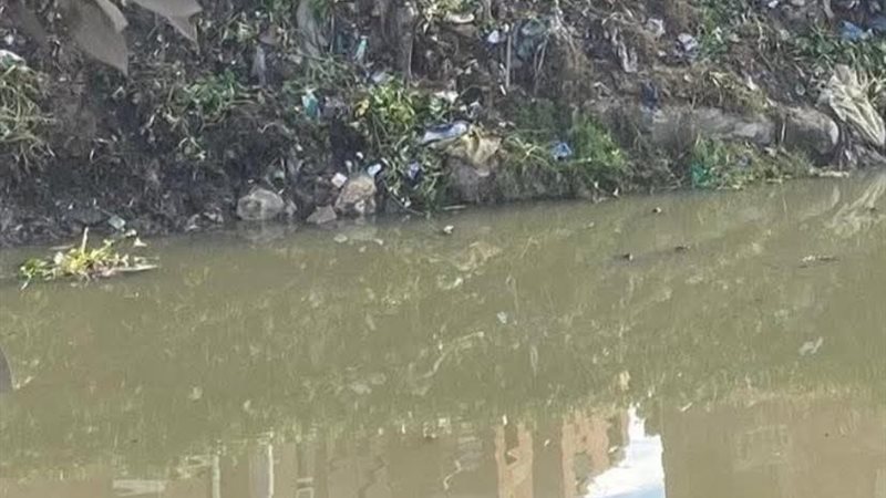 جانبي القريه