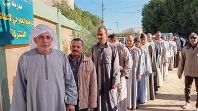 كبار السن تصدروا المشهد.. إقبال الناخبين في لجان في الفيوم بانتخابات النواب