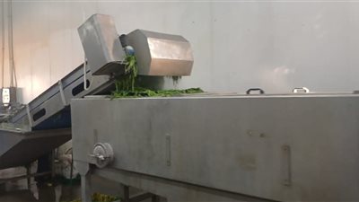 شئون البيئة بالشرقية يشن حملات على المنشآت الغذائية والصناعية