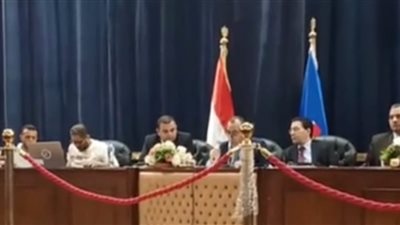 اللجنة العامة بالبحيرة تعلن الحصر العددي لـ 3 دوائر