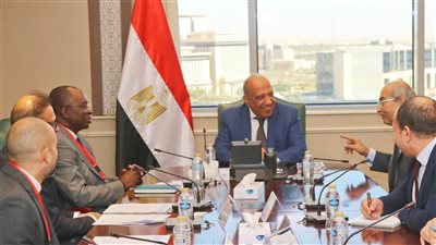 وزير الكهرباء يبحث مع وفد مؤسسة التمويل الدولية 