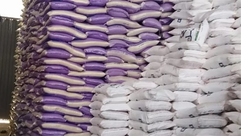 جانب من الحملة 