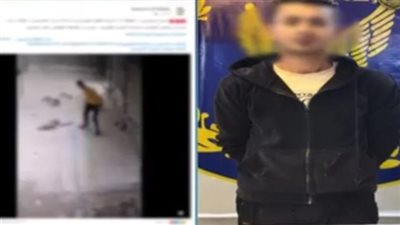 كان بيهاجمني.. التحريات تكشف سبب تعدي شخص على كلب ضال بالسلام