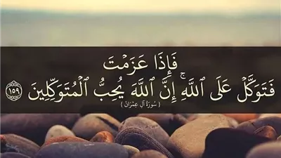 عالم بالأوقاف: التوكل على الله يعلم الإنسان الصبر والثقة بأن الرزق مكتوب