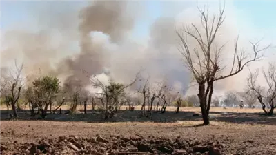 بينهم 43 طفلا.. استشهاد 79 سودانيا في قصف لميليشيات الدعم السريع بجنوب كردفان 