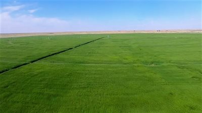 شهادة فخر للدولة المصرية.. لماذا فاز مشروع جنوب الوادي بالجائزة الدولية؟