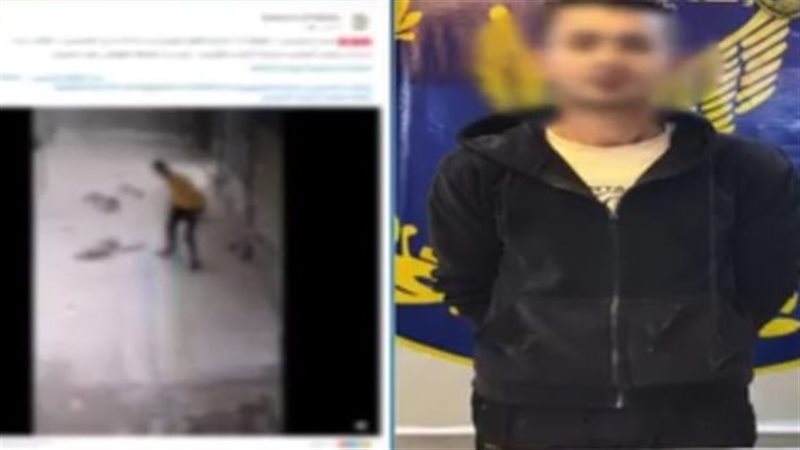 التعدي على كلب