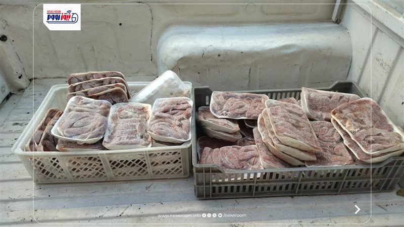 تموين المنيا 