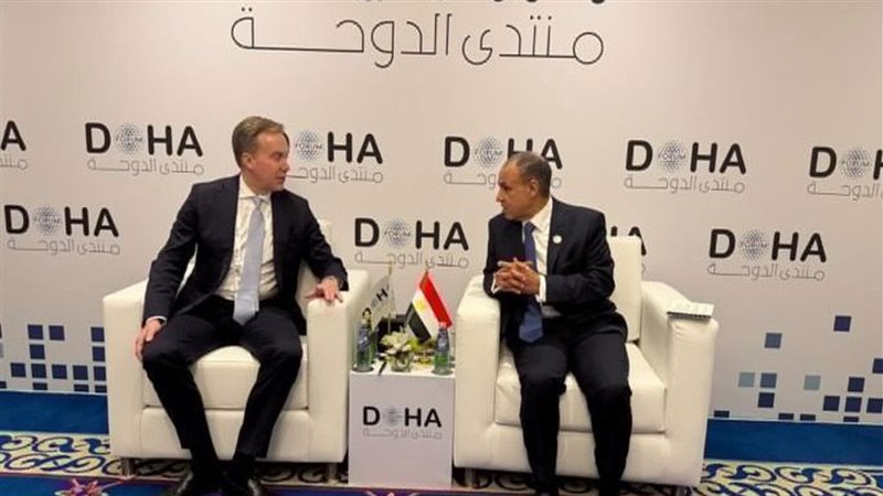 عبد العاطي يلتقي