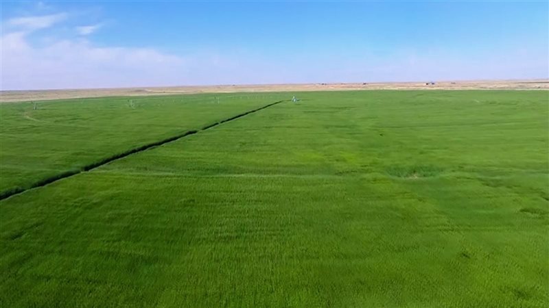 مشروع جنوب الوادي