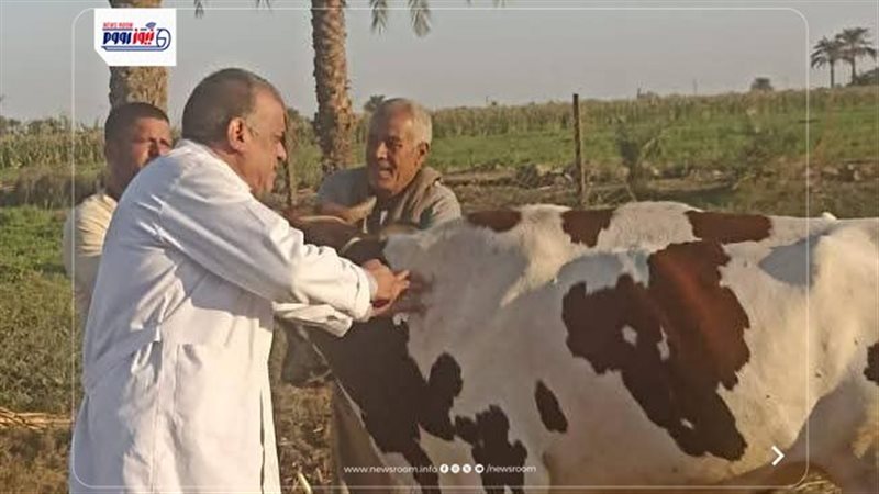 الطب البيطري بالمنيا