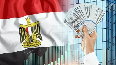 الاستثمار الأجنبي في مصر مكاسب كبرى أم تهديد لأصول الدولة؟.. خبراء يجيبون
