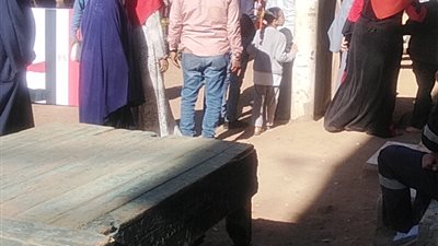 المحكمة الإدارية العليا تنظر غدًا طعنًا لإلغاء انتخابات مجلس النواب في طنطا